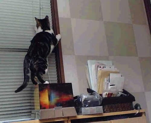 快船打穿开拓者背后，杰伦·格林正悄然编织季后赛接管者的叙事