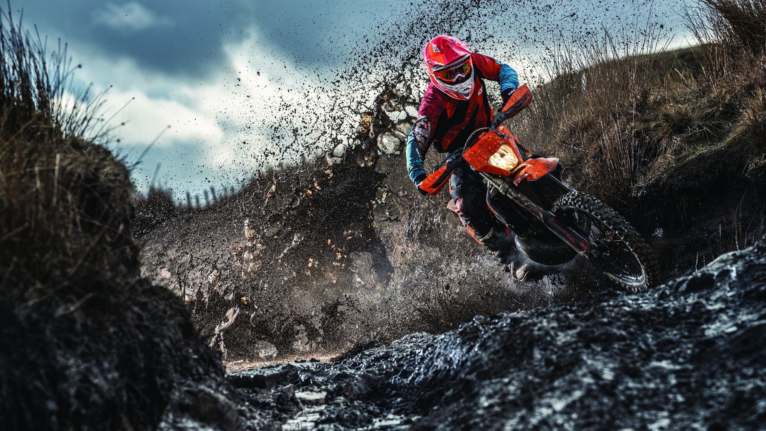 绿军之魂，霍勒迪末节觉醒，凯尔特人逆转步行者诠释坚韧底色